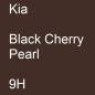 Preview: Kia, Black Cherry Pearl, 9H.